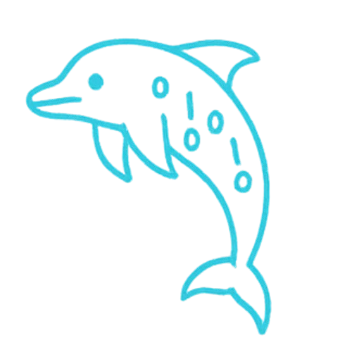 dolphin Icon