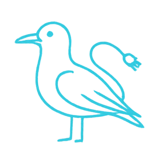 seagull Icon