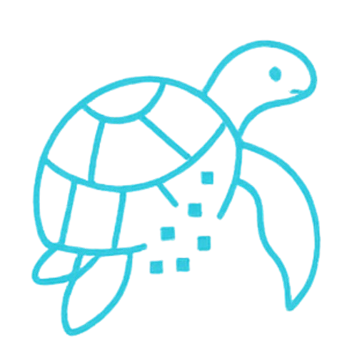 turtle Icon